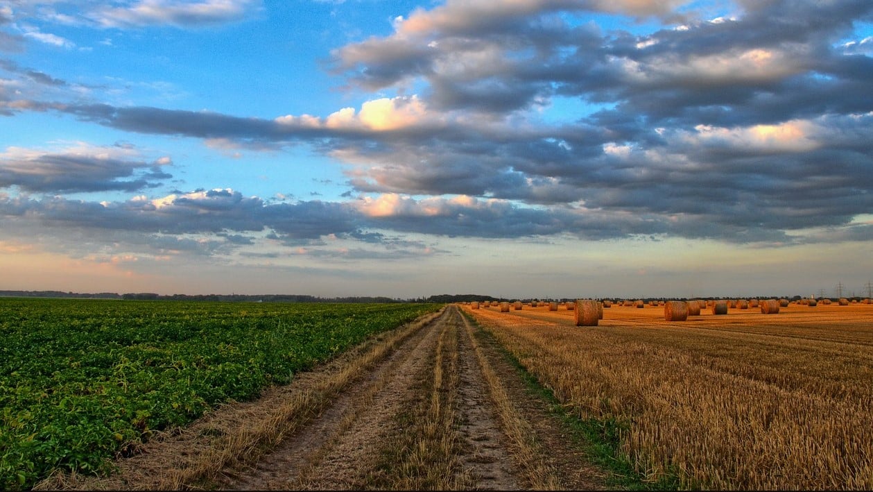 Landschaftsfoto mit Feldern