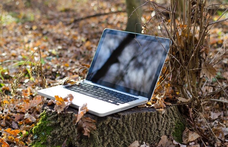Laptop in einem Wald als Symbol für die Umweltbilanz von E-Commerce