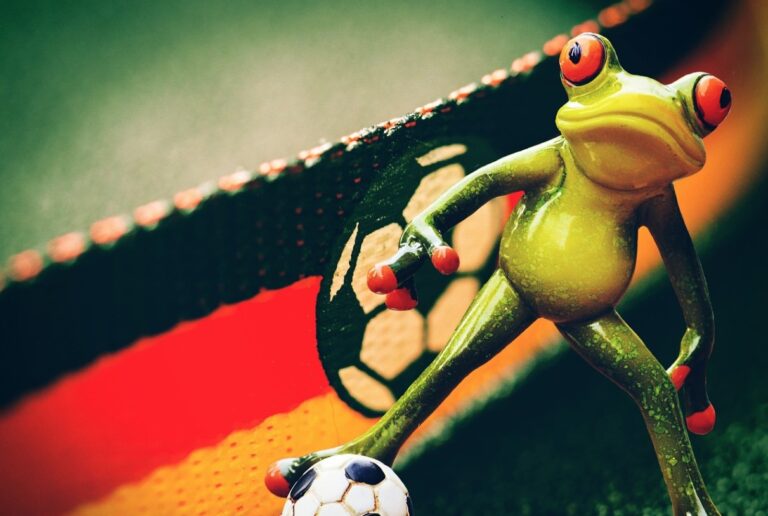 Frosch mit Fußball vor einer Deutschlandflagge