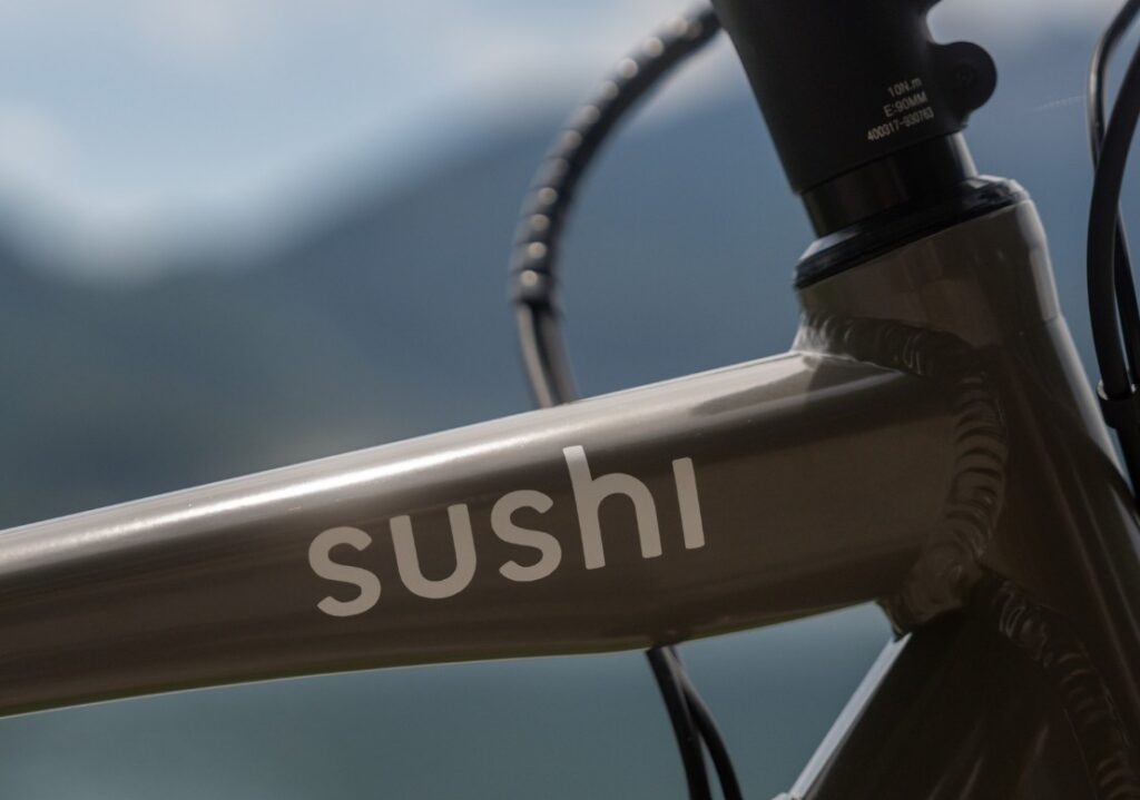 Rahmen eines Sushi Bikes Fahrrads