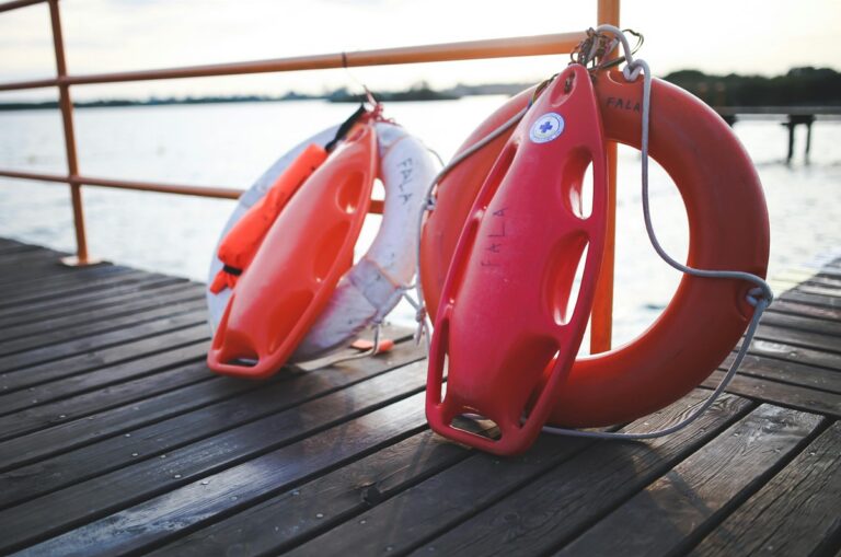 Zwei Rettungsringe an einem Steg