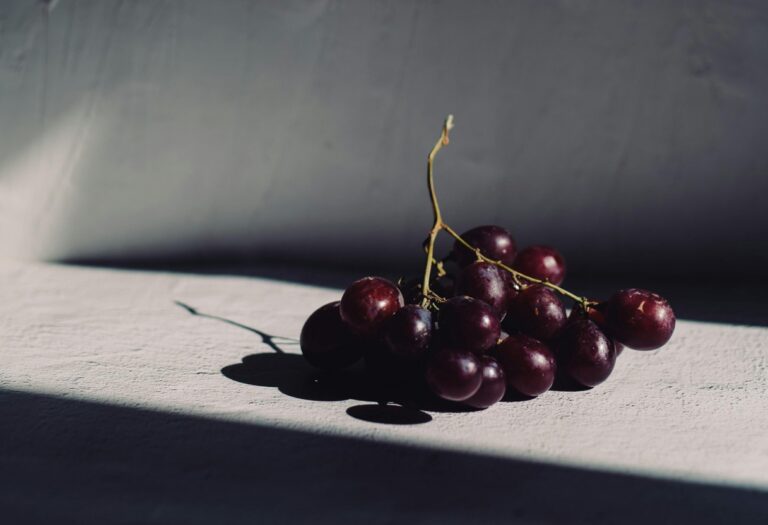 Rote Weintrauben auf einem Stein liegend