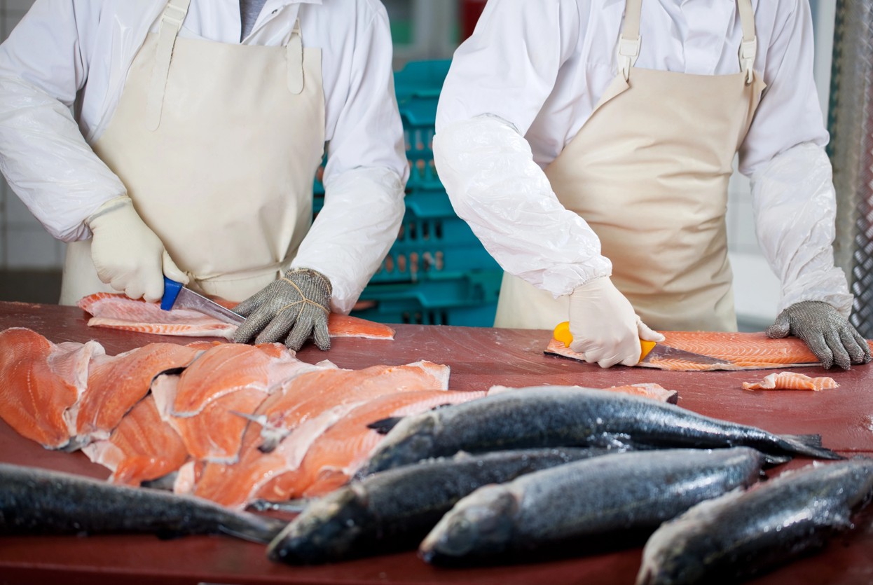 Arbeiter beim Filettieren von frischem Lachs