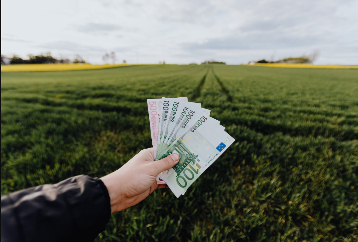 Euro Geldscheine vor grosser Ackerwiese