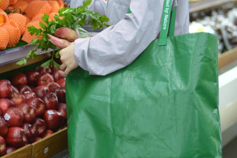 Frau mit Kunststofftragetasche im Supermarkt