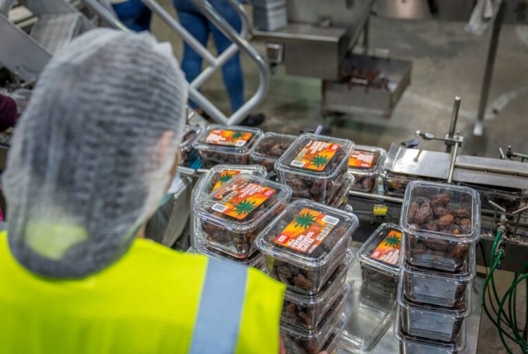 Fabrikarbeiterin mit abgepackten Datteln