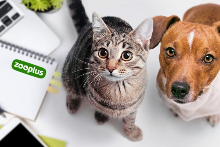 zooplus Logo neben einer Katze und einem Hund