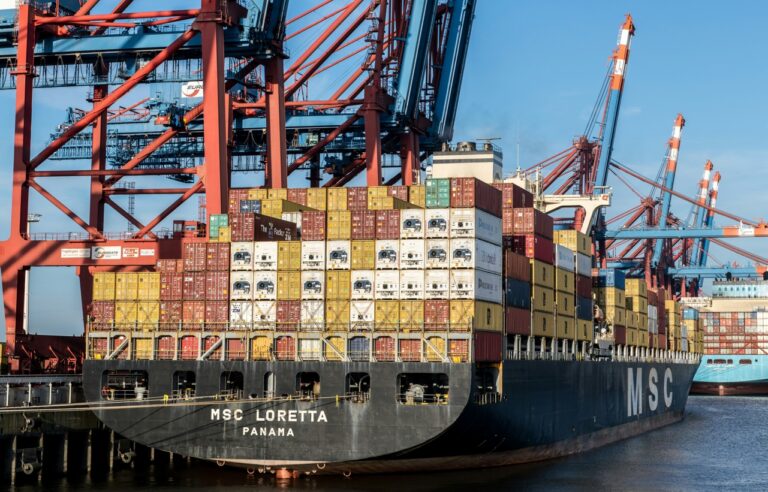 Container Schiff am Hamburger Hafen